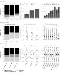 Image result for Landolphia bruneelii