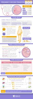 Pregnancy Second Trimester University Of Utah Health