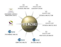Ob fähigkeiten und talente des mitarbeiters zu den. Connect Competence Potenzialanalyse Test