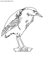 Birds are animals that are part of the fauna of the whole world, there is a great variety of birds, and all of them are characterized by their body covered with we leave you today, on this page, a few drawings of different kinds of birds to print and paint. Bird Coloring Pages