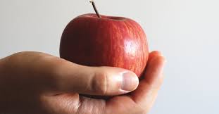 Webster's new world college dictionary, 4th edition. Apple Of My Eye Bible Meaning Of Psalm 17