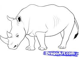 Step 11 How To Draw A Rhino Rhino Painting Animal Drawings Rhino Pictures