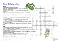 Photosynthesis crossword puzzle by amy brown science | tpt the crossword clue 'photosynthesis opening' published 1 time⁄s and has 1 unique answer⁄s on our system. Plants Photosynthesis Crossword Edexcel Gcse 9 1 Combined Science Paper 2 Teaching Resources