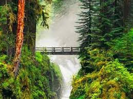 Our jigsaw puzzle section has grown so much that we had to split it up into categories to make it easier to find the puzzles you want. Pin On Beautiful Places