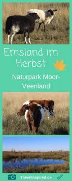 Emsland Im Herbst Ausflugstipps Sehenswurdigkeiten Travel Travel Destinations Outdoor
