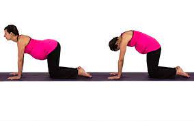 Inner thighs, hips, and back sit on your mat and bend your knees, bringing the soles of your feet together. 5 Easy Recommended Yoga Postures To Start An Energetic Day Exercise For Pregnant Women Yoga Postures Yoga For Beginners