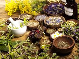 மருத்துவ பழமொழிகள்:- 🌿1) கோழைக்கு எதிர் தூதுவளை... நம் குடும்பத்தின்  நன்மைக்கு துளசி இலை. 🌿2) வாதத்தை அடக்கும் முடக்கத்தான்.. நல் வாழ்வுக்கு ...