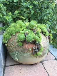 Plant Home Decoration Plant Decoration Potted Plant Green Plant Garden Living Room Interior Plant Decoration P Succulents Plants Succulent Garden Indoor