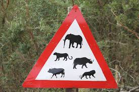 Road Signs South Africa Must Have Some Of The Most Unusual Road Signs The Big Five Which One Do You Want To Tackl Durban South Africa Africa South Africa