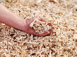 L Utilisation De La Sciure De Bois Dans Le Jardin Methodes Et Caracteristiques D Utilisation