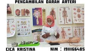 Maybe you would like to learn more about one of these? Sop Pengambilan Darah Arteri Youtube