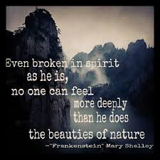 Mary Shelley Literature Quotes Literary Quotes Frankenstein