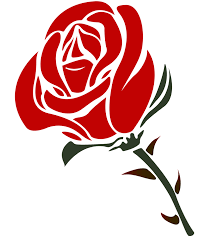 Rose Png Cartoon Rose Roses Drawing Red Rose Png