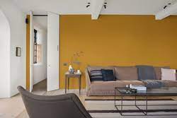 Find out the variety of wall paint colour shades and schemes. Mustard Blanket Dulux
