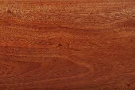 Image result for Entandrophragma delevoyi