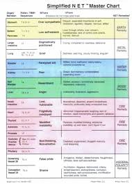 Simplified Master Net Chart Outlining Meridians Organs Open I