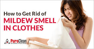 As a result, over time, colors fade and fabric weakens. How To Get Rid Of Mildew Smell In Clothes Puroclean Hq
