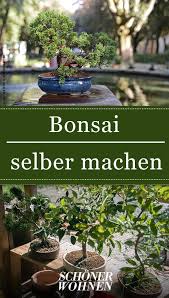 Bepflanzung Pflanzen Baum Blumen Sichtschutz Garten Mehrjahrige Pflanzen Sukkulente Wustenpflanzen Pflanzideen Garten Design Ausse