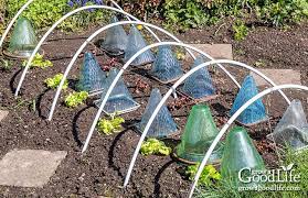 Here's how to do it. 6 Ways To Protect Plants From Frost