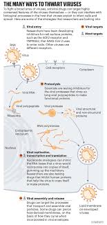 This video helps in understanding hit and run drugs with suitable examples.! The Race For Antiviral Drugs To Beat Covid And The Next Pandemic