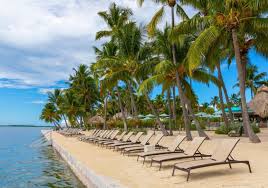 Image result for Faroa amara