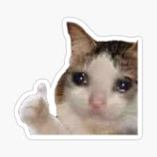 Sad Cat Meme Gifts Merchandise Redbubble