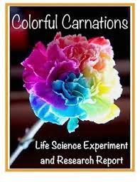 Plant Life Experiment Colorful Carnations Using Scientific Method Stem Life Science Experiments Scientific Method Science Fair