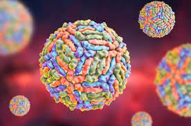 Diagnostico Molecular Para O Virus Do Nilo Ocidental Labnetwork