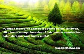 Status whatsapp islami dari al qur'an. Caption Status Wa Romantis Bijak Islami Terbaru Kata Kata Mutiara Move On Untuk Mantan Pacar Captionkata Com 2021 Caption Dp Bbm Kata Bijak Terbaru