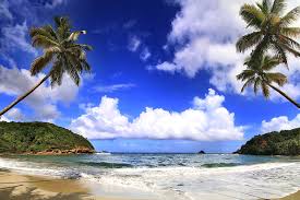 Dominica is a small, fertile island in the eastern caribbean sea. Moving To Dominica Guide For Expatriates