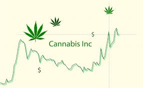 cgc which marijuana stock is a better buy hexo corp hexo