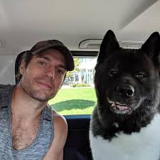 He plays the biggest hero in pop culture, and will soon grapple with tom cruise, but how is. Henry Cavill Birthday 5 Times The Justice League Star Shared The Cutest Photos With His Dog Kal Pinkvilla