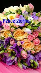 Pin Di Lorella Parnisari Su Giorno E Notte Immagini Di Fiori Fiori Insoliti Bouquet Floreali