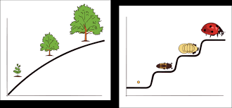 I dont want window's width be modified by the numbers of outdoors i have note2: Http Dept Clcillinois Edu Psy Lifespandevelopment Pdf