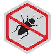 Bulwark exterminating, all creatures pest control, john moore pest control, llc, bugs or us termite and pest control, llc, preventive pest control logsdon, llc. Pest Control Phoenix Termite Control Phoenix Az Free Consultation