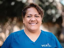 VCA Orchard Plaza Animal Hospital