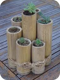 Blue Primrose Bamboo And Cactus Diy Bamboo Diy Bamboo Garden Bamboo Planter