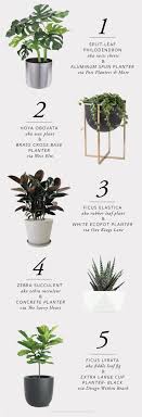 Real estate agent in mundakayam. 5 Stylish Indoor Plant Planter Combinations The Savvy Heart Interior Design Decor And Diy