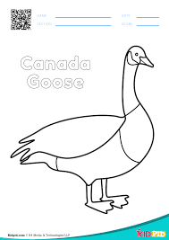 We did not find results for: Bird Coloring Pages For Preschoolers Free Printables Pdfs Kidpid