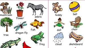 Grade 1 Science Living And Non Living Things Living And Nonliving Nonliving Science For Kids
