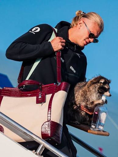 Erling Haaland lands in Norway carrying a Dolce & Gabbana bag and a (fake) raccoon he bought in Texas. One of a kind.