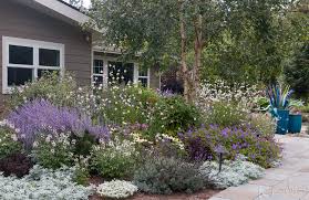 You'll love even their thorns which help quench their blanket flowers or sundance are best appreciated in the wild. Best Drought Tolerant Perennials Annuals That Are Deer Resistant Too Le Jardinet