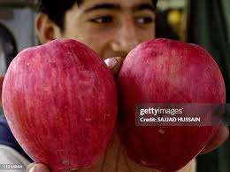 73 Roadside Produce Stand Stock Photos, High-Res Pictures, and Images