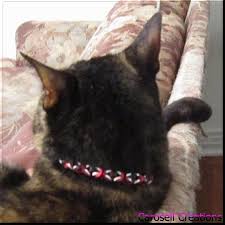 Black And Red Cat Chainmaille Pet Collar Red Black And Silver Byzantine Chain Mail Cat Collar Or Dog Collar Pet Jewelry With Breakaway Collar With Images Pet Collars Breakaway Cat Collars Red Dog Collar