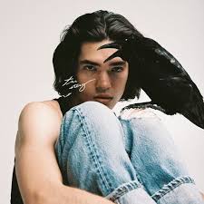 Pin By Vonguyenduc On Conan Gray In 2020 Conan Gray Conan Gray Aesthetic Conan