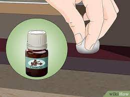 There are a few techniques you can use to kill pavement ants that incorporate salt. How To Kill Ants Outside 11 Steps With Pictures Wikihow