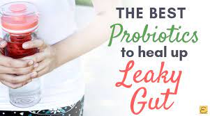 The best brand of probiotics to heal leaky gut quickly. The Best Probiotic Brand For Leaky Gut To Heal Fast Early To Bed Early To Rise
