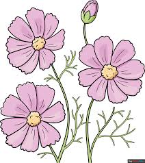 Image result for Cosmos