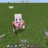 Minecraft education edition requires you to create a mcpack file which contains all the files required for your custom minecraft skin. 1