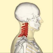 Outre les pathologies ou les traumatismes, la cervicalgie peut être le résultat d'une tension maux de tête, migraines, nausées, vertiges mais également fatigue, problèmes d'équilibre ou encore anxiété. L Origine Des Douleurs Cervicales Et Comment En Finir Avec Le Mal De Cou